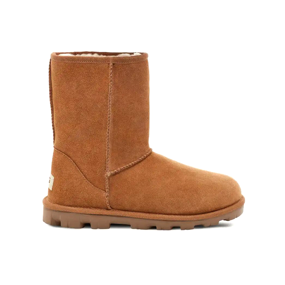 Ботинки Ugg (Коричневый)