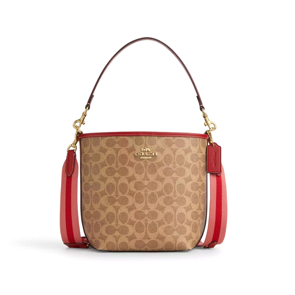Сумка Coach ведро (Gold/Tan Multi)