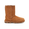 Ботинки Ugg (Коричневый)