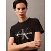 Футболка Calvin Klein (Черный)