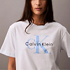 Футболка Calvin Klein (Ancient Water)
